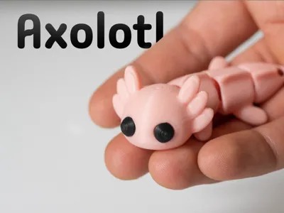 Axolotl