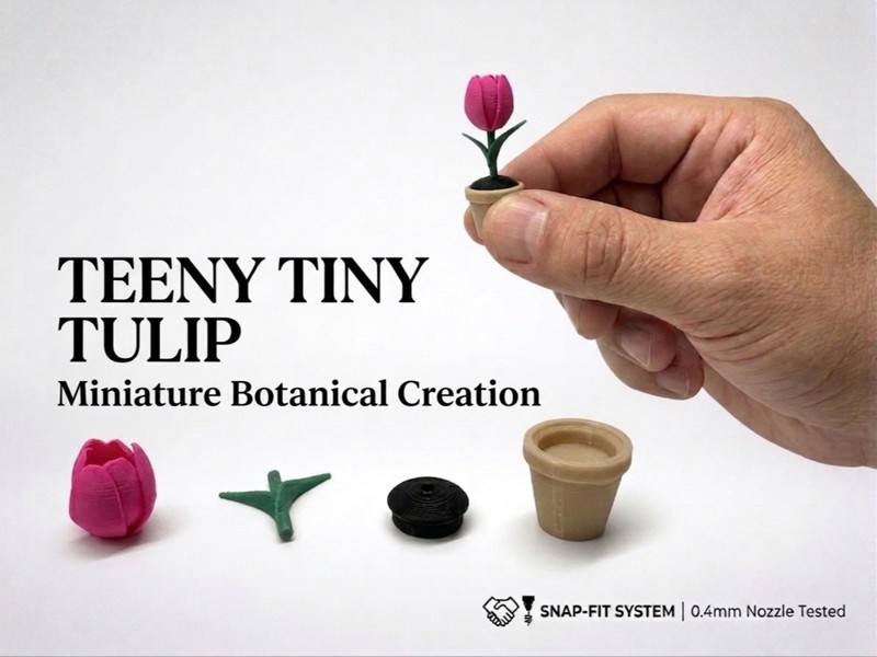 Teeny Tiny Tulip