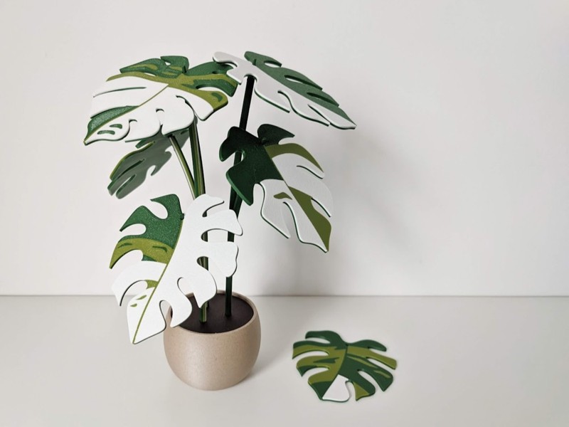 Monstera · 6 Coasters & Pot