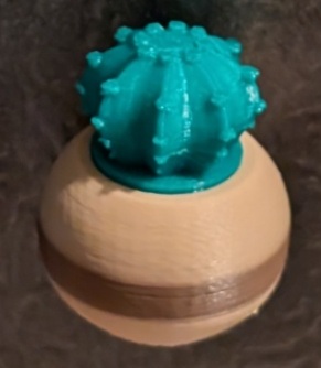 Bowl Cactus Magnet